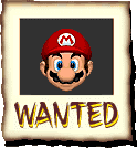 Wanted Character